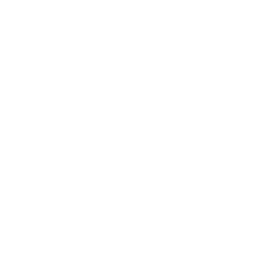 Zeeo Z icon, white